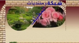 شبكة ومنتديات المظيلف.webp