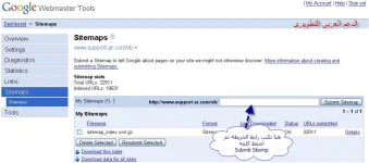 4.webp