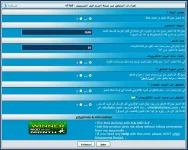 5.webp