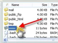 1.webp