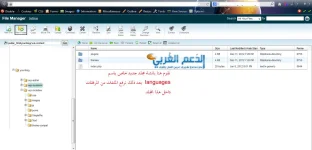 صورة 2.webp