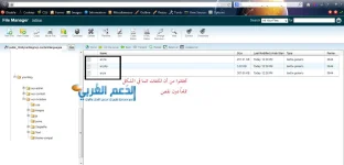 صورة 3.webp