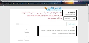 صورة 4.webp