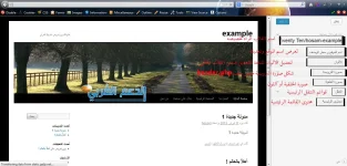 لوحة تخصيص.webp