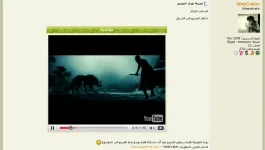 3.webp