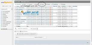 صورة2.webp