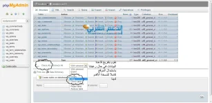 صورة6.webp
