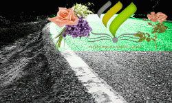 Untitled-1.gif