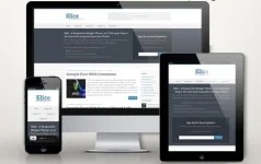 Elice Blogger.webp
