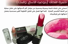 1.webp