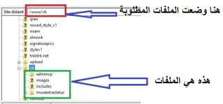 h1.webp