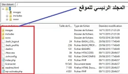 h2.webp