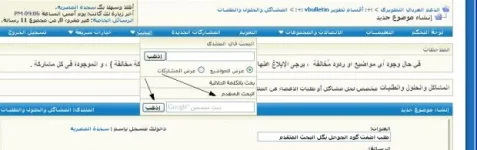 1.webp