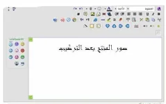 zNm12869.webp