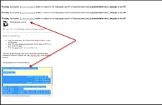 4444444.webp