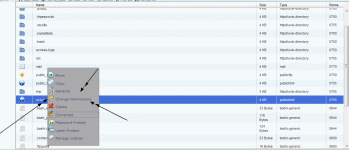 1.gif