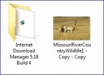 Capture 3.webp
