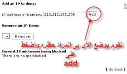 6.webp