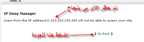 7.webp