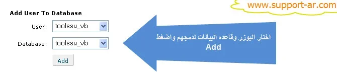 6.webp