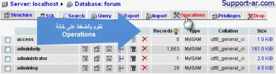 3.webp