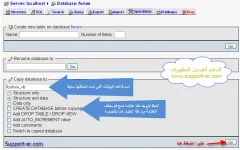 4.webp