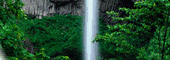 صقور صغير.gif