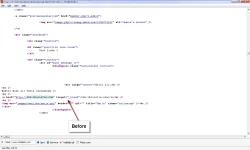 1.webp
