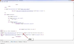 2.webp