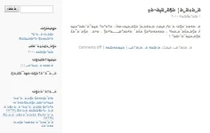 5555.webp