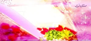 header_03.webp
