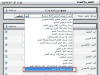 3.webp
