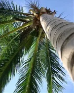 473988_35640568.webp