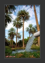 a14.webp