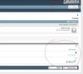 Capture1.webp