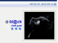 2.webp