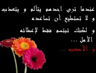 photo2.webp