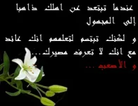 photo3.webp