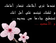 photo5.webp
