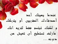 photo6.webp