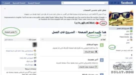 6.webp