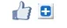 1.webp