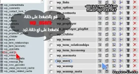 select-wp-users-phpmyad.webp
