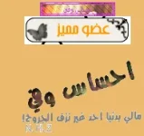التقاط.webp