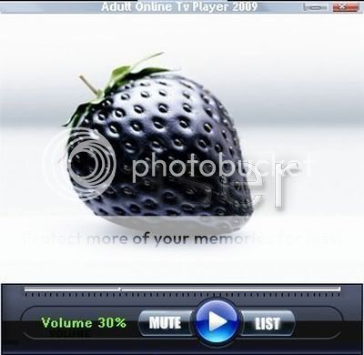 AdultOnlineTVPlayer2009.jpg