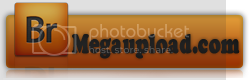 megaupload.png