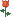 103798.gif