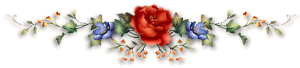 dd416acfbe6b.gif