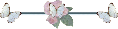85c63f6381.gif