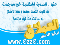 376313540.jpg